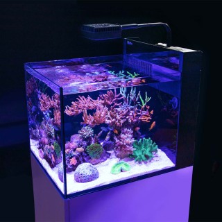 Red Sea MAX NANO Peninsula